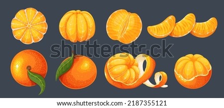 Mandarin set vector illustration. Cartoon isolated whole sweet citrus fruit, orange twist peel, tropical clementine with leaves on tree branch, fresh mandarin in slices and cut in half
