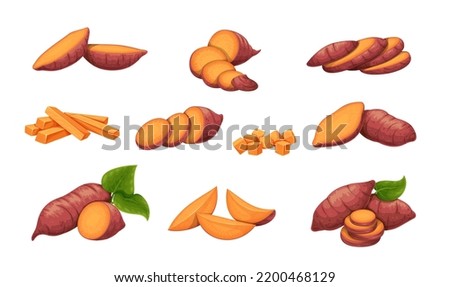 Sweet potato set vector illustration. Cartoon isolated orange organic vegetable with purple peel, whole potato tuber and green leaf, fresh peeled and chopped cubes and sticks, raw batat slices
