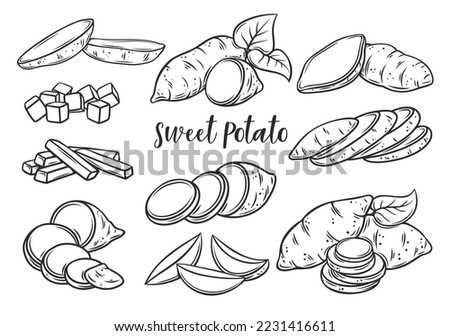 Sweet potato outline icons set vector illustration. Line hand drawn chopped yam vegetable, whole potato tuber with leaf and cut into slices and wedges, cubes and sticks, food ingredient for cooking