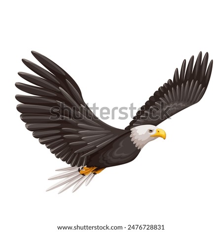 Bald eagle flying, cartoon bird of prey. Flight and soaring of sea eagle to hunt and feed, predatory mascot. Cartoon predator with sharp talons, strong wings and curve beak vector illustration