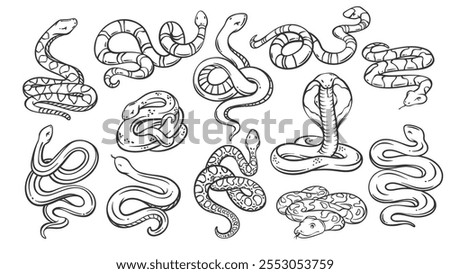 Snake species line icons set. Outline hand drawn wild and Zoo cobra and rattlesnake, python and anaconda, copperhead snake. Nature, wildlife mascot, serpent collection icons vector illustration