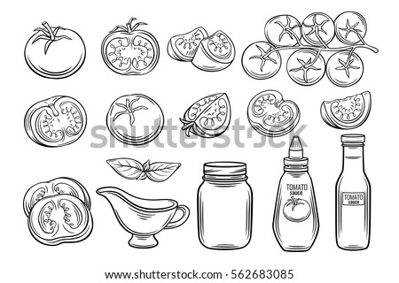 Set hand drawn tomato and sauce. Vector illustration decorative vegetables in old ink style.