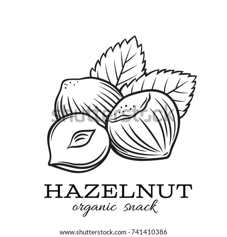 Vector hand drawn hazelnut for template label, packing and emblem farmer market design. Retro sketch style.