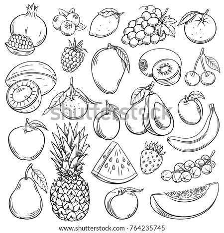 Vector sketch fruits and berries icons set. Decorative retro style collection hand drawn farm product for restaurant menu, market label. Mango, blueberry, pineapple, mandarin and etc.