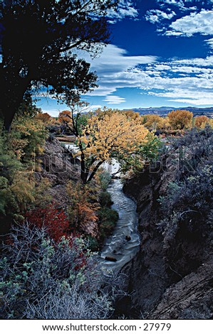 Colorado River at Grand Junction, Colorado.