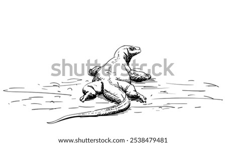 Komodo dragon hand drawn illustration, Rear view, Vector sketch of apex predator and large reptile of the monitor lizard family