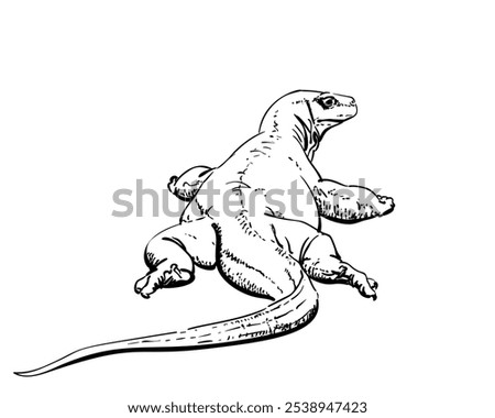 Komodo dragon hand drawn illustration isolated, Rear view, Vector sketch of apex predator and large reptile of the monitor lizard family