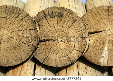 Background from wooden boards. circle