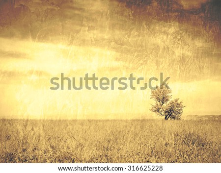 Lonely tree on a mountain meadow / Solitude with a lot of copy space - on a grungy wall canvas texture / The beauty of loneliness.