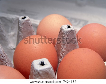 Extra Large Brown Raw Eggs Pattern Macro Close-up