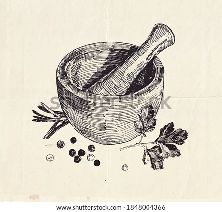 Hand drawn illustration of ceramic mortar and pestle with parsley leaves and black peppercorns