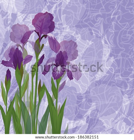 Flowers iris on abstract background, picture for holiday design