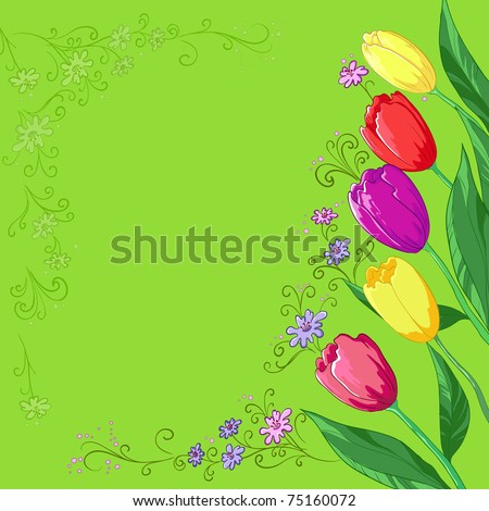 Flower background, tulips flowers and contour on a green