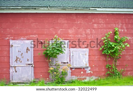 Rustic old abandoned red barn with pink door. Overgrown and neglected property.