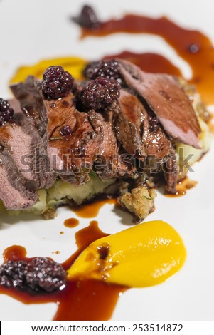 Fine Dining - Meats - Roasted Saddle Of Wild Boar With Potatoes And Blackberry Jus / Meats - Roasted Saddle Of Wild Boar