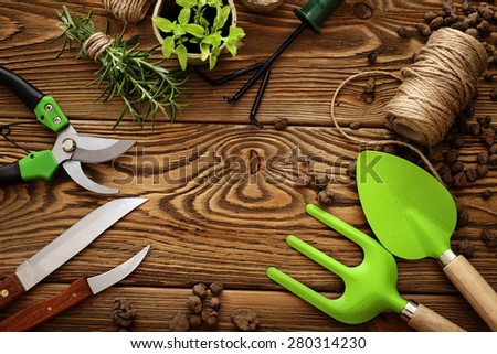 Gardening tools, watering can, seeds, plants. frame background with copy space