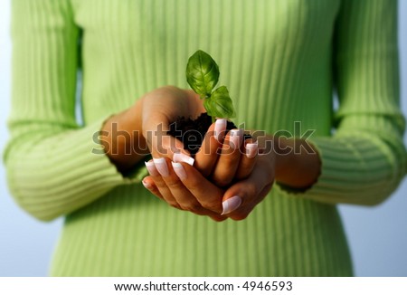 hands holding a small plant - new life protection - concept suitable for environment protection themes.  take care concept