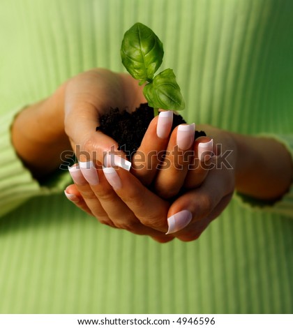 hands holding a small plant - new life protection - concept suitable for environment protection themes.  take care concept
