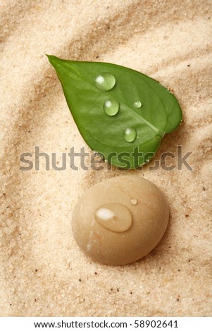 Macro of a stone with a green leaf on raked sand