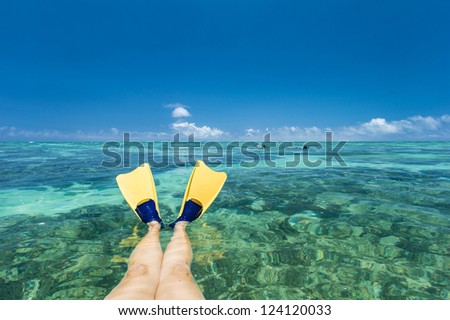 Lady Elliot Island, Snorkelers flippers, Queensland