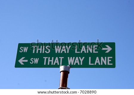 Street sign for This Way Lane and That Way Lane against clear blue sky.