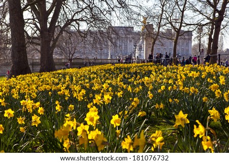 The beautiful view of Buckingham Palace from St. James\'s Park in Spring.