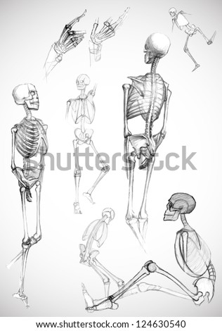 Set of human body parts and skeletons in different poses,like pictured by a pencil