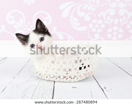 Cute small black and white kitten lying in a white basket in a classic living room