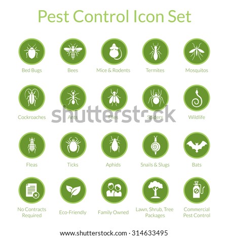 Vector icon set with insects like flies, cockroaches, bed bugs, spiders and termites for pest control companies Foto d'archivio © 