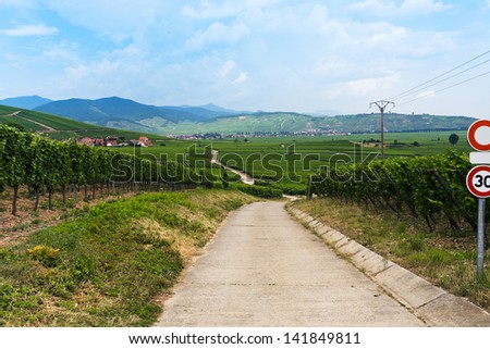 rural landscape and view of small town Ribeauville on Alsace Wine Route, France