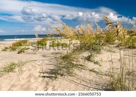 Similar – Foto Bild la mer Meer Nordsee