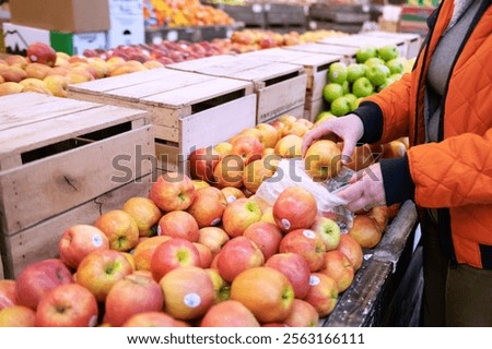 Image, Stock Photo Woman picking ripe apples on farm. Farmer grabbing apples from tree in orchard. Fresh healthy fruits ready to pick on fall season. Harvest time in countryside