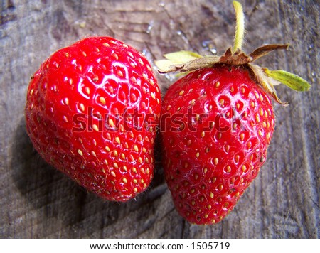 Strawberry on a background of a tree
