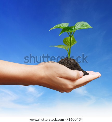 hand plant
