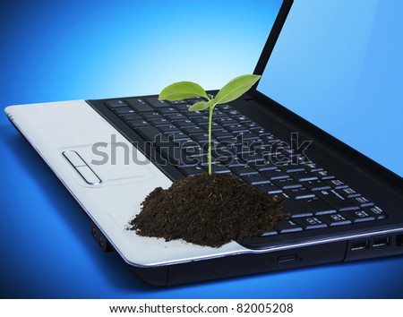 plant on a laptop keyboard