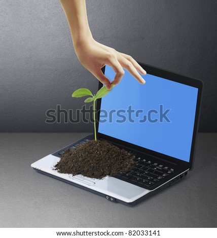 Hands ,laptop with a plant