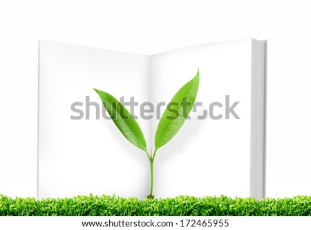 Green leafs and Blank open book