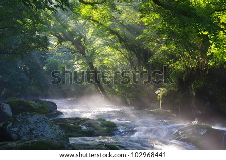 Mountain stream and shaft beam of light