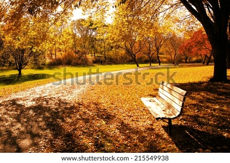 Bench in a park in late day autumn light