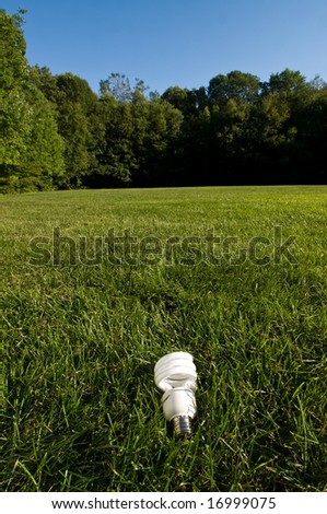 a compact fluorescent light bulb lying in a grass field