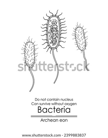 Bacteria, a single-celled organism, it can survive without oxygen.  First appered in Archean eon. Black and white line art is perfect for coloring and educational purposes