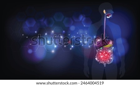 The digestive system abstract background. The picture shows the significant structures of the digestive tract