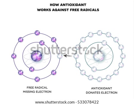 vector boost stable Download  Antioxidant Images Free Images