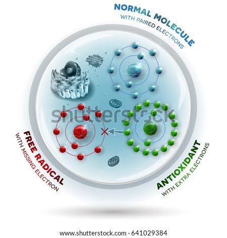 Three molecules inside the human cell: Free radical with missing electron, Normal stable molecule with paired electrons and Antioxidant with extra electrons which can be donated to free radical 