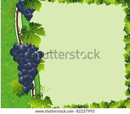 green grape border