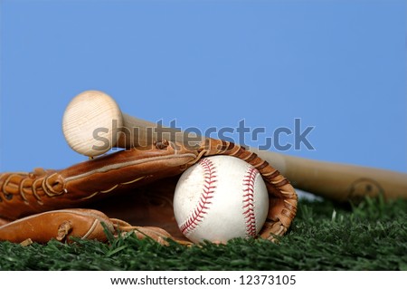 Baseball and Bat on grass