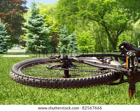 Closeup on mountain bike wheel resting on the grass