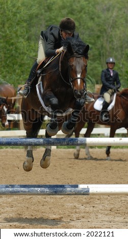 Woman jumping horse over jump at horse show.