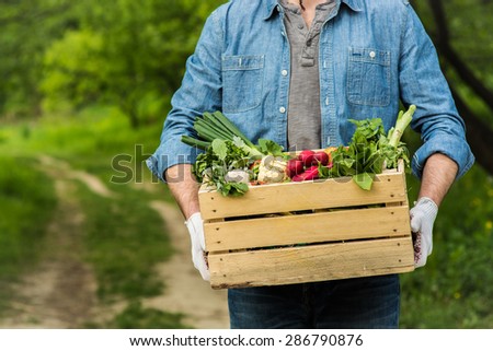 Close up photo of young farmer with wooden box and fresh vegetables in green garden