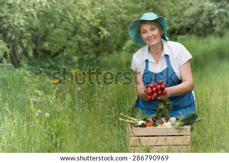 Good-looking smiling middle-aged woman-farmer showing to camera freshly picked bunch of radishes near  wooden box with fresh vegetables
